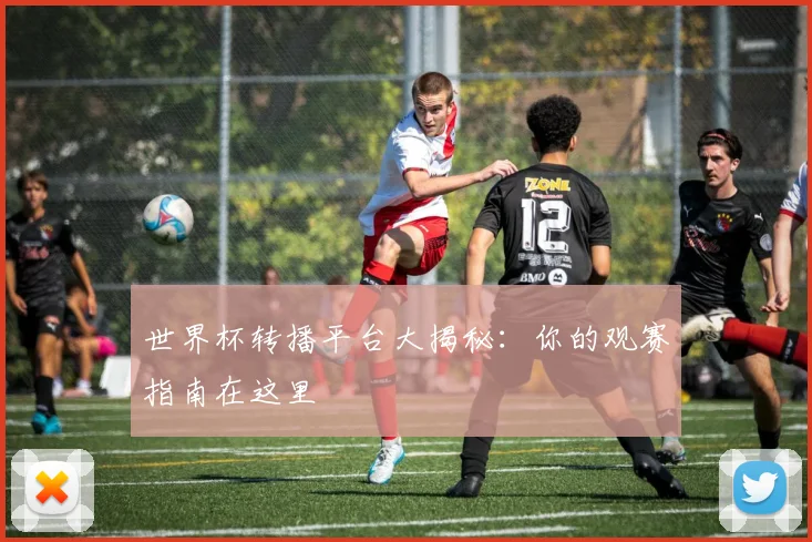 世界杯转播平台大揭秘：你的观赛指南在这里