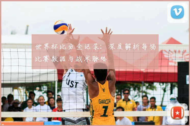 世界杯比分全记录：深度解析每场比赛数据与战术脉络