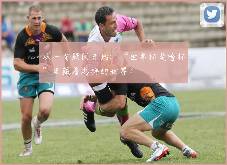 从一句疑问开始：“世界杯是啥杯”里藏着怎样的世界？