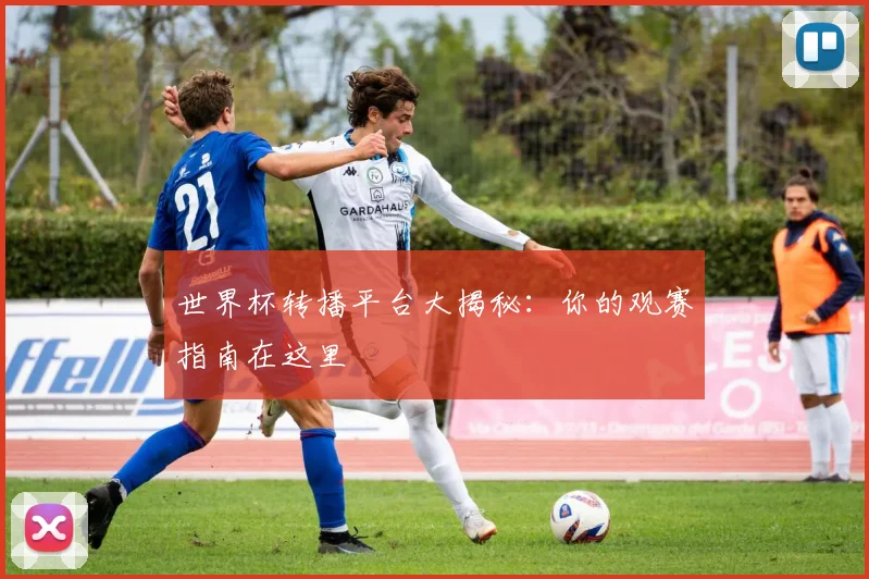 世界杯转播平台大揭秘:你的观赛指南在这里