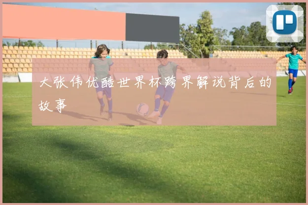 大张伟优酷世界杯跨界解说背后的故事