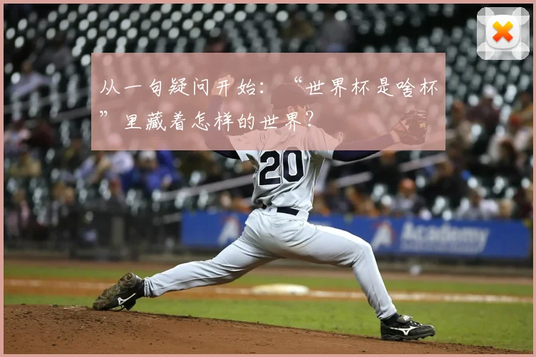 从一句疑问开始：“世界杯是啥杯”里藏着怎样的世界？