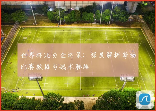 世界杯比分全记录:深度解析每场比赛数据与战术脉络