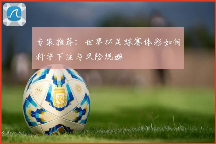 专家推荐：世界杯足球赛体彩如何科学下注与风险规避