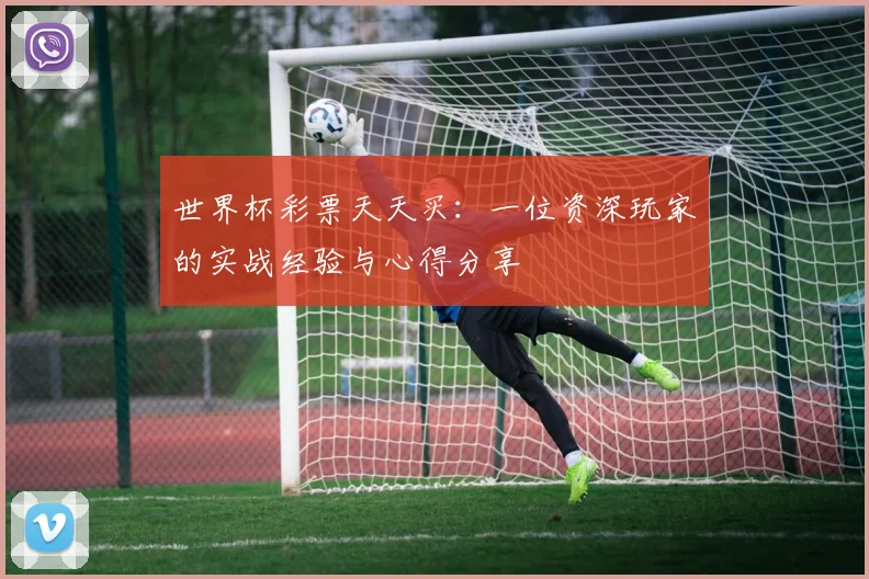 世界杯彩票天天买:一位资深玩家的实战经验与心得分享