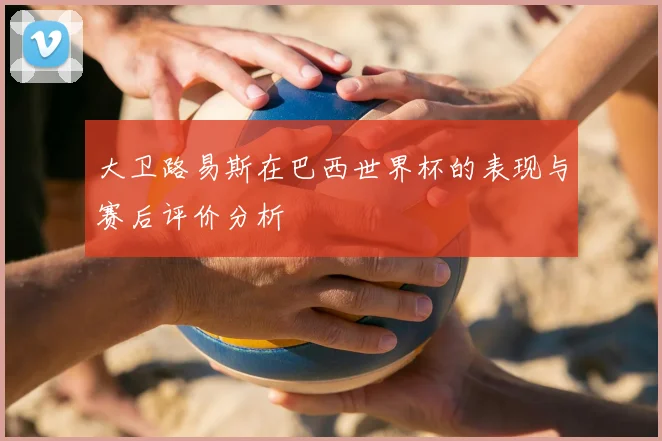 大卫路易斯在巴西世界杯的表现与赛后评价分析