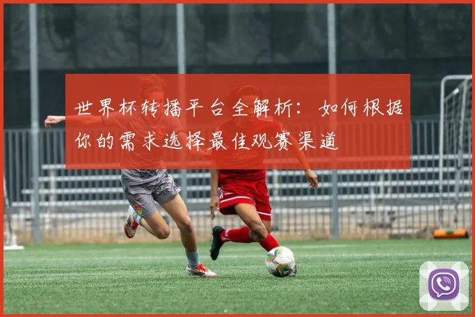世界杯转播平台全解析：如何根据你的需求选择最佳观赛渠道