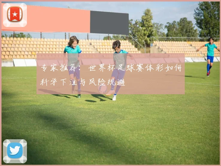 专家推荐：世界杯足球赛体彩如何科学下注与风险规避