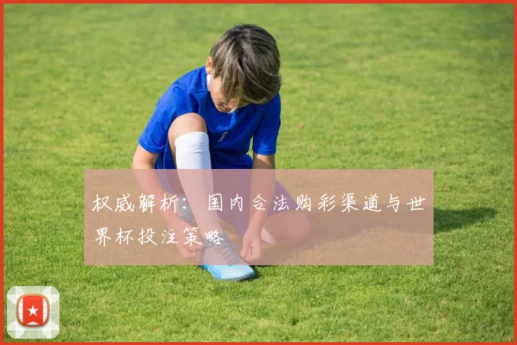 权威解析：国内合法购彩渠道与世界杯投注策略