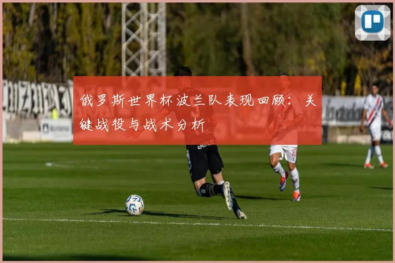 俄罗斯世界杯波兰队表现回顾：关键战役与战术分析