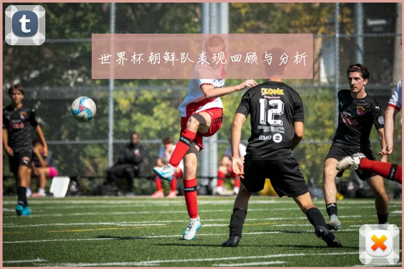 世界杯朝鲜队表现回顾与分析