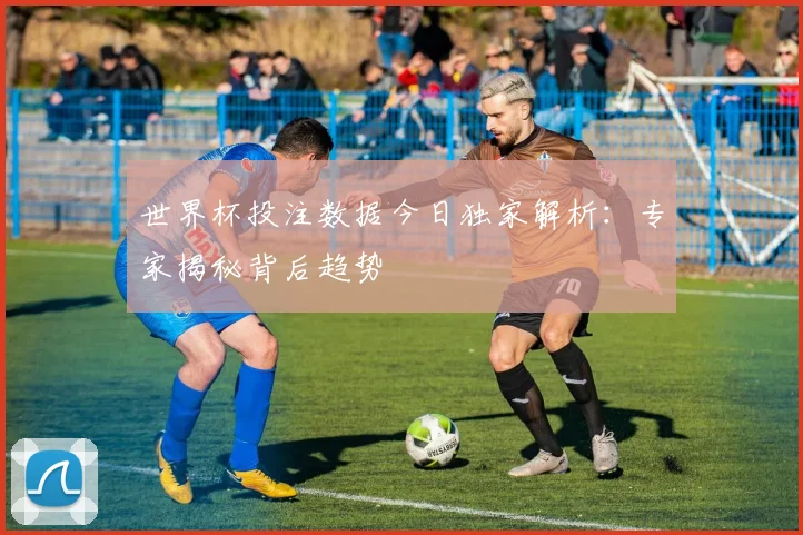 世界杯投注数据今日独家解析：专家揭秘背后趋势